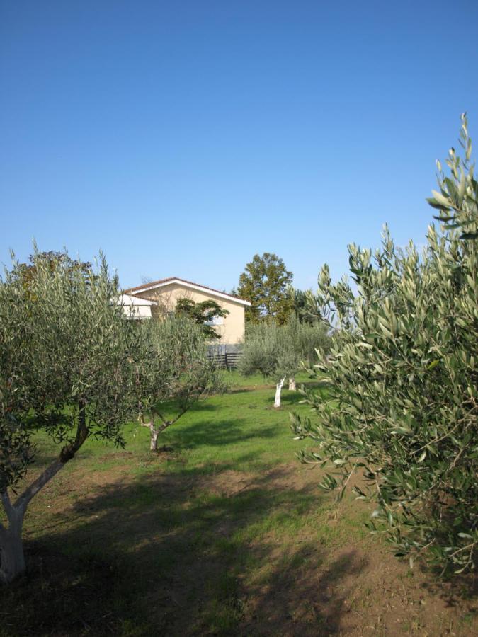 Παληοκτημα - Palioktima 2 Apartment Neon Rysion Bagian luar foto